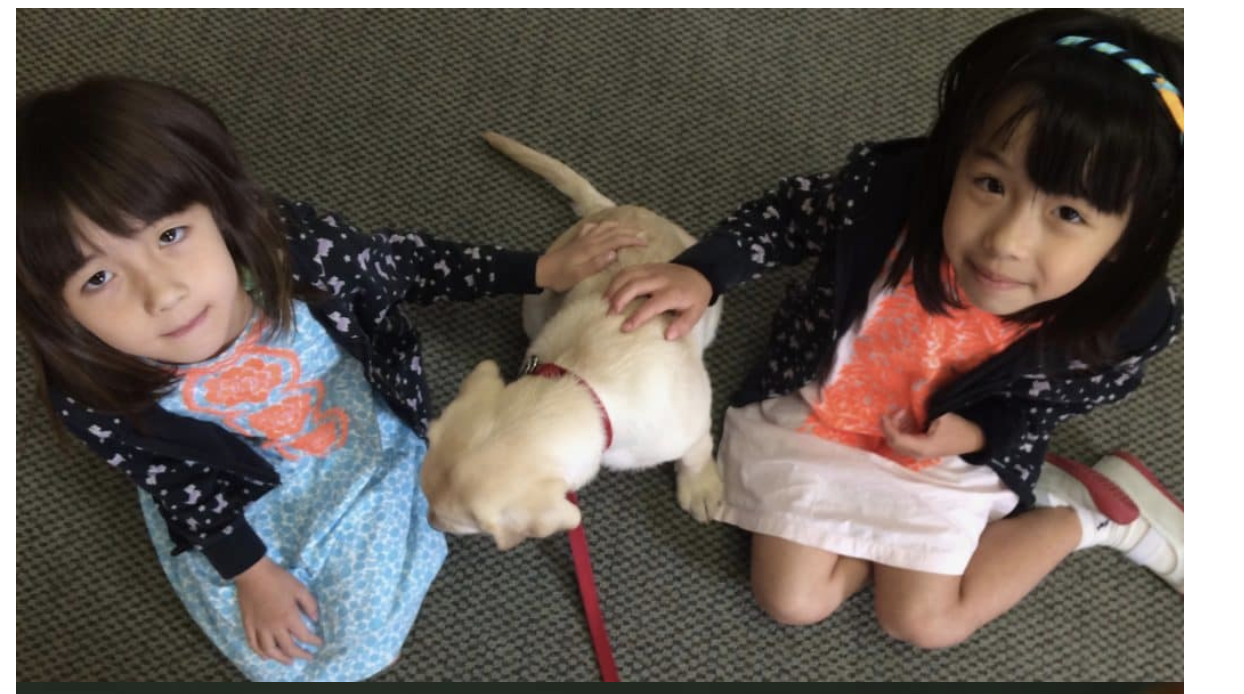 Two young children sitting on the classroom floor petting the school dog